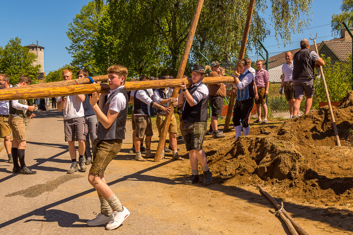 Image: _JA 31425 Maifest Hohenried 2026.jpg